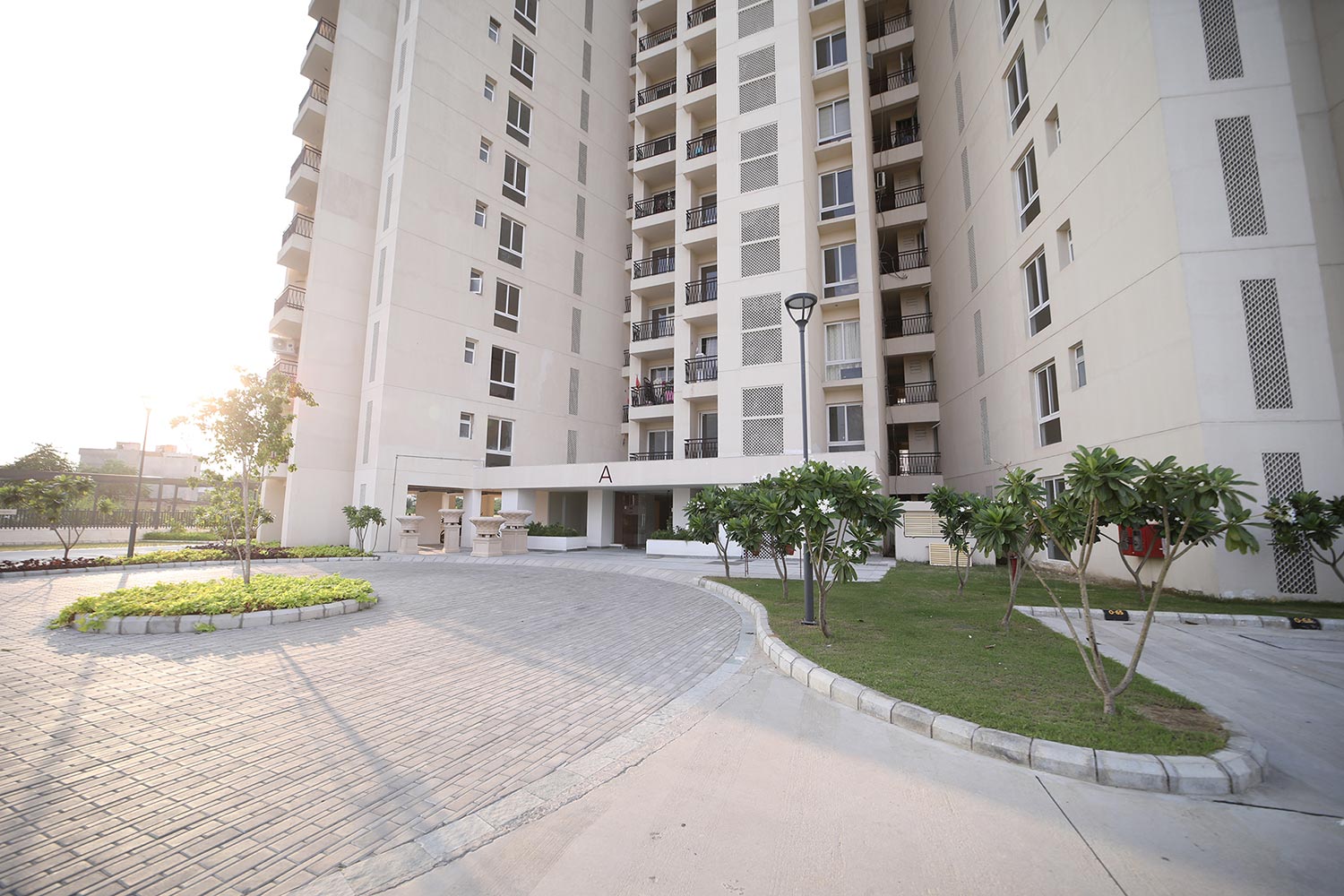 Shalimar One World Vista